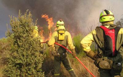 Todos contra el fuego. Entrevista a cuatro jóvenes bomberos forestales