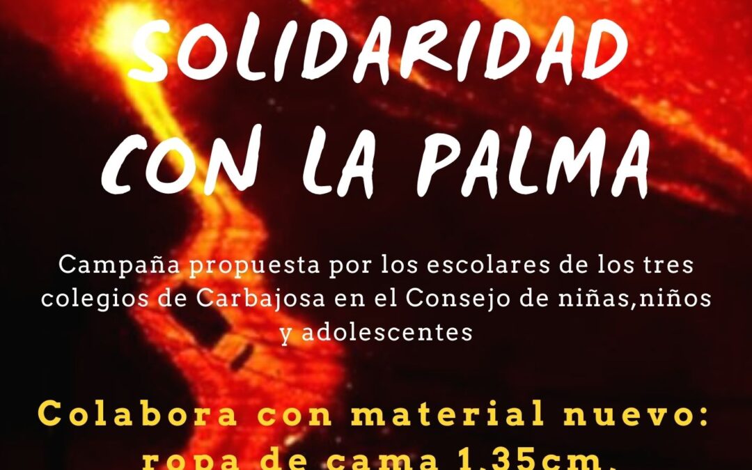 CAMPAÑA DE AYUDA A LA PALMA ¿¿COLABORAS CON NOSOTROS??